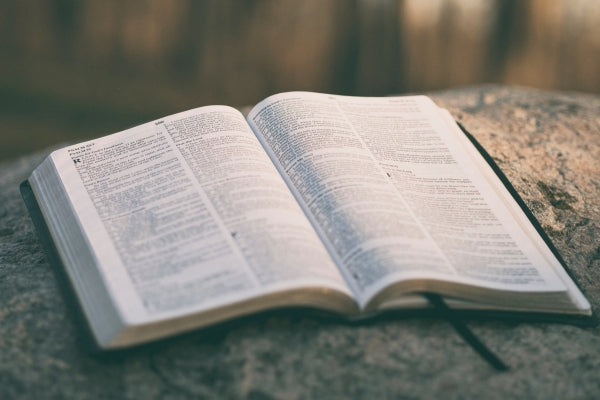 The Power of Scripture in Daily Life