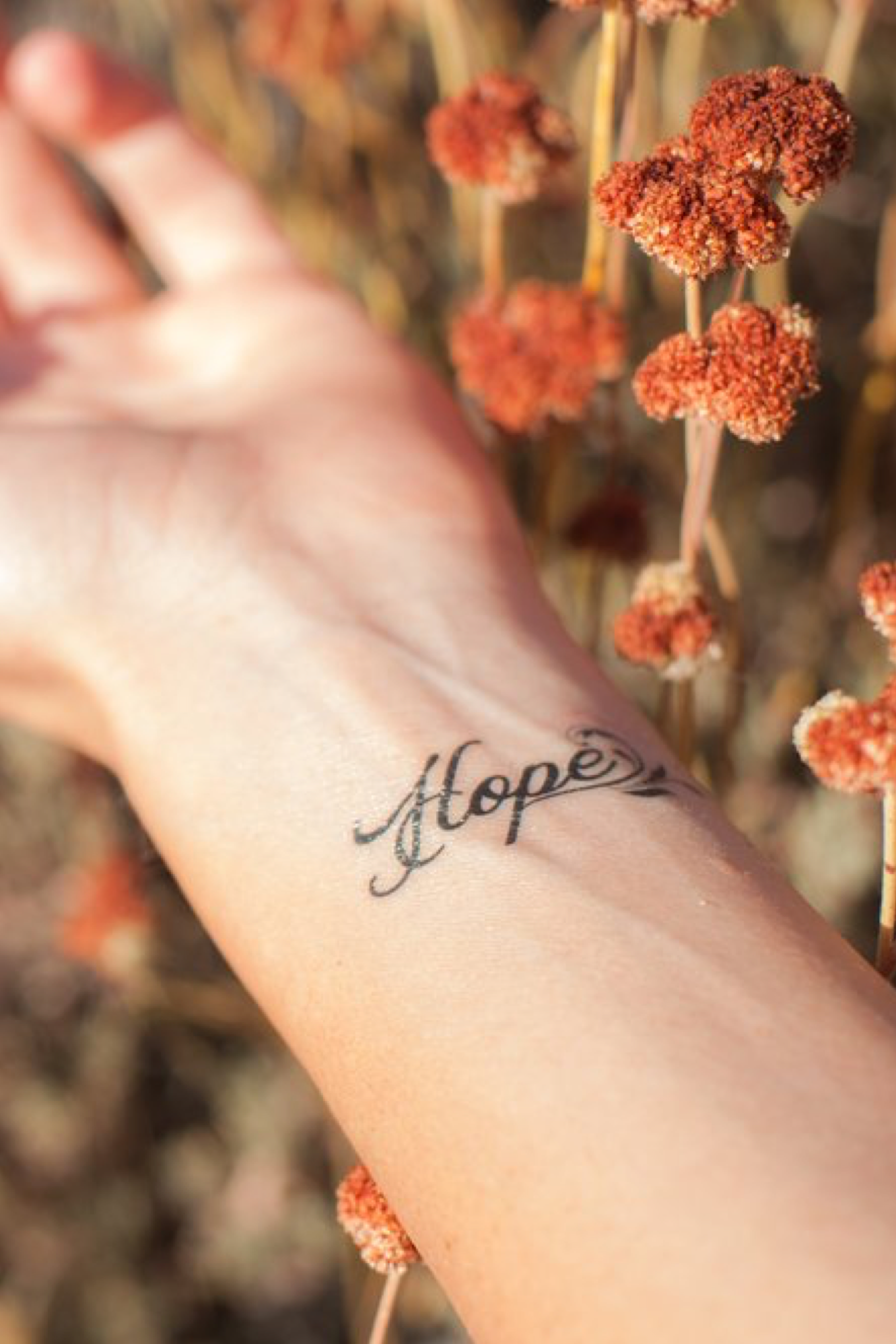 Hope by Patrick Maxcy - Pack of 2